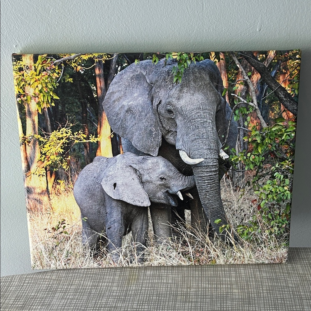Elephant Canvas Wall Art - Gray and Green